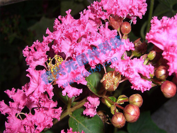 �c���鿴Ԕ����Ϣ���}����ޱ ��x�Δ���1644